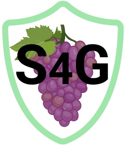 S4G logo