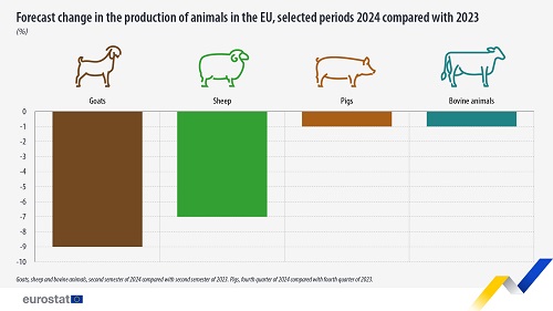 forecast change animal production 2023 2024