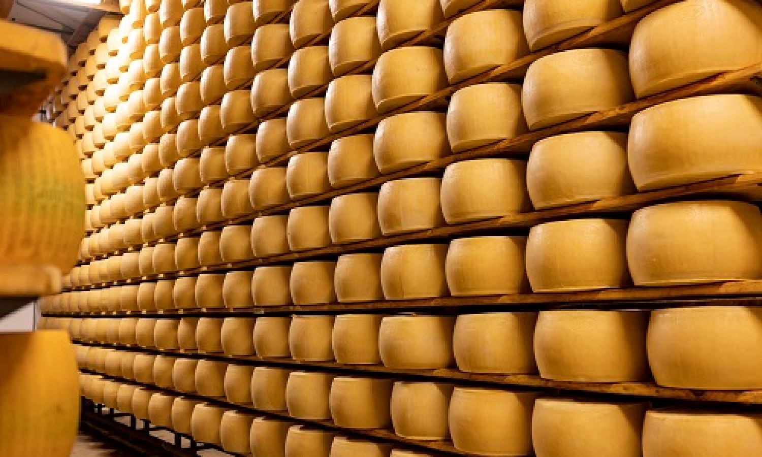 Uno studio sul contenuto di istamina nel formaggio