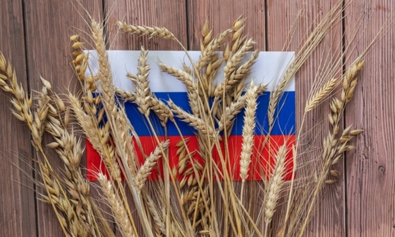 In arrivo dazi sui prodotti agricoli da Russia e Bielorussia