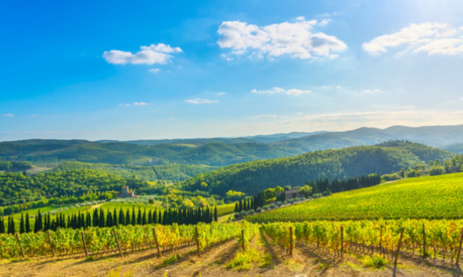 L’andamento del vino tra luci ed ombre