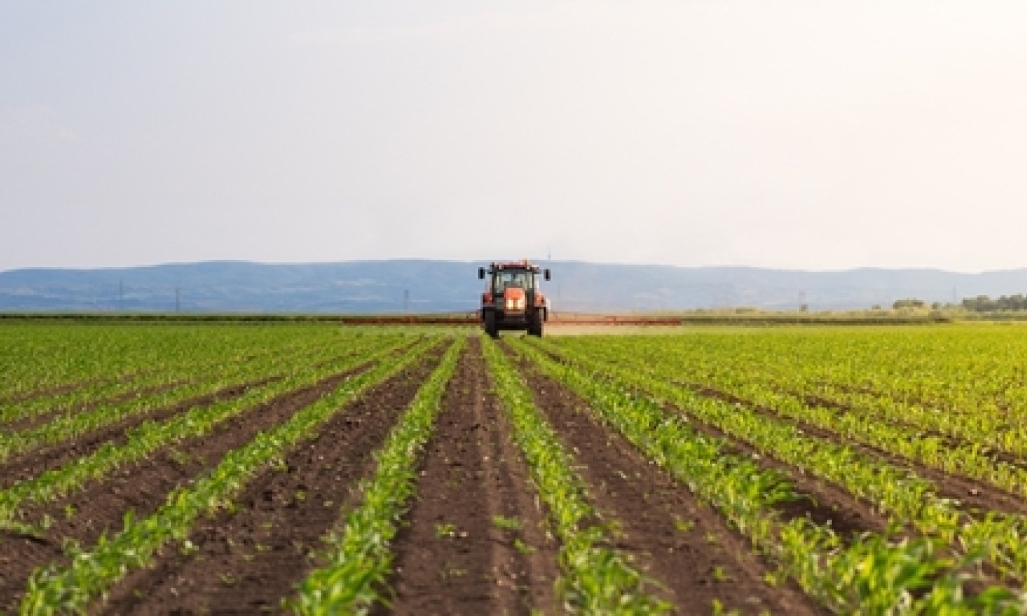 Agroalimentare: buone notizie sul fronte degli scambi commerciali