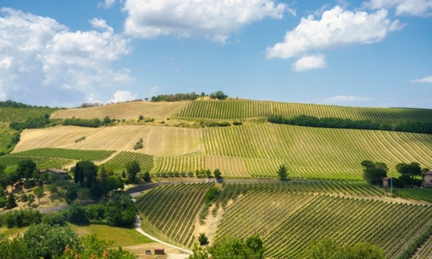 L’agroalimentare tra autosufficienza e dipendenze