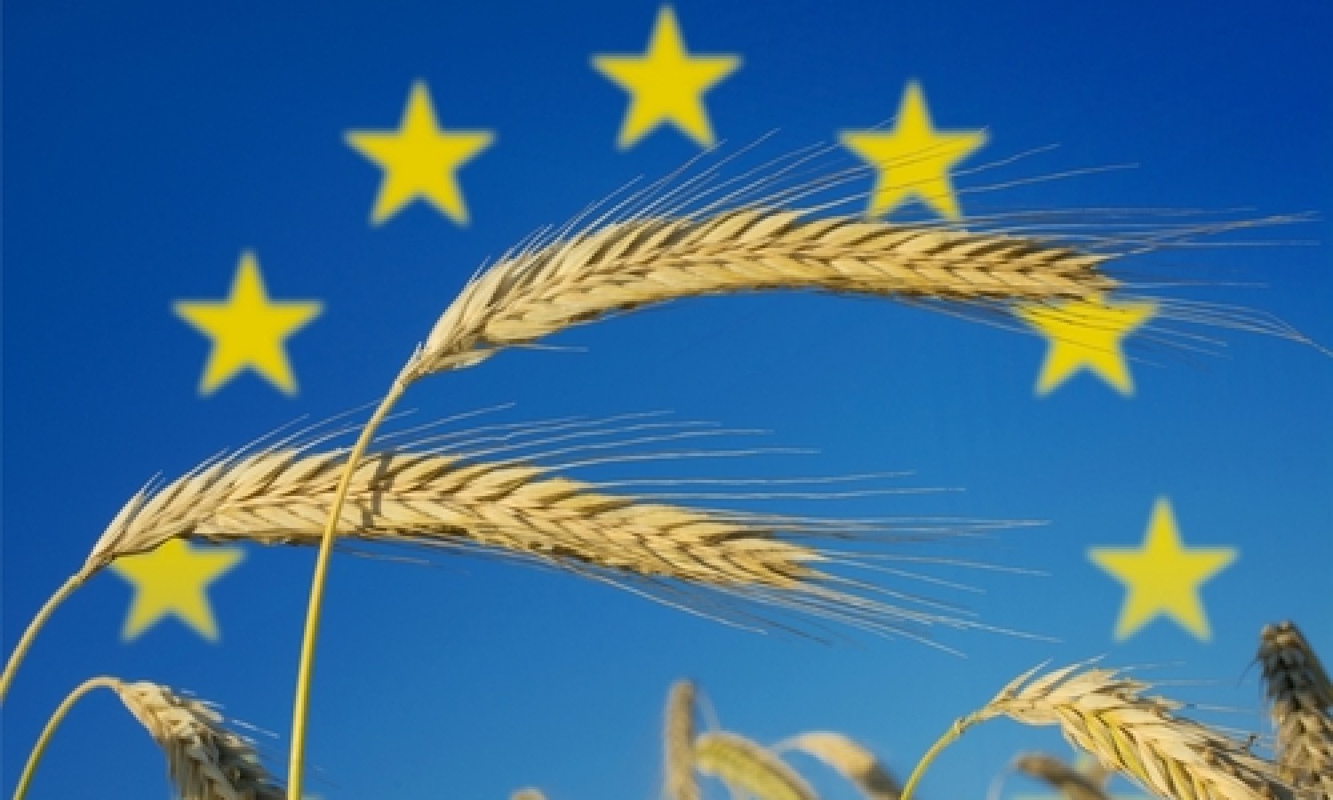 Agricoltura: arriva un Consiglio dell’UE  