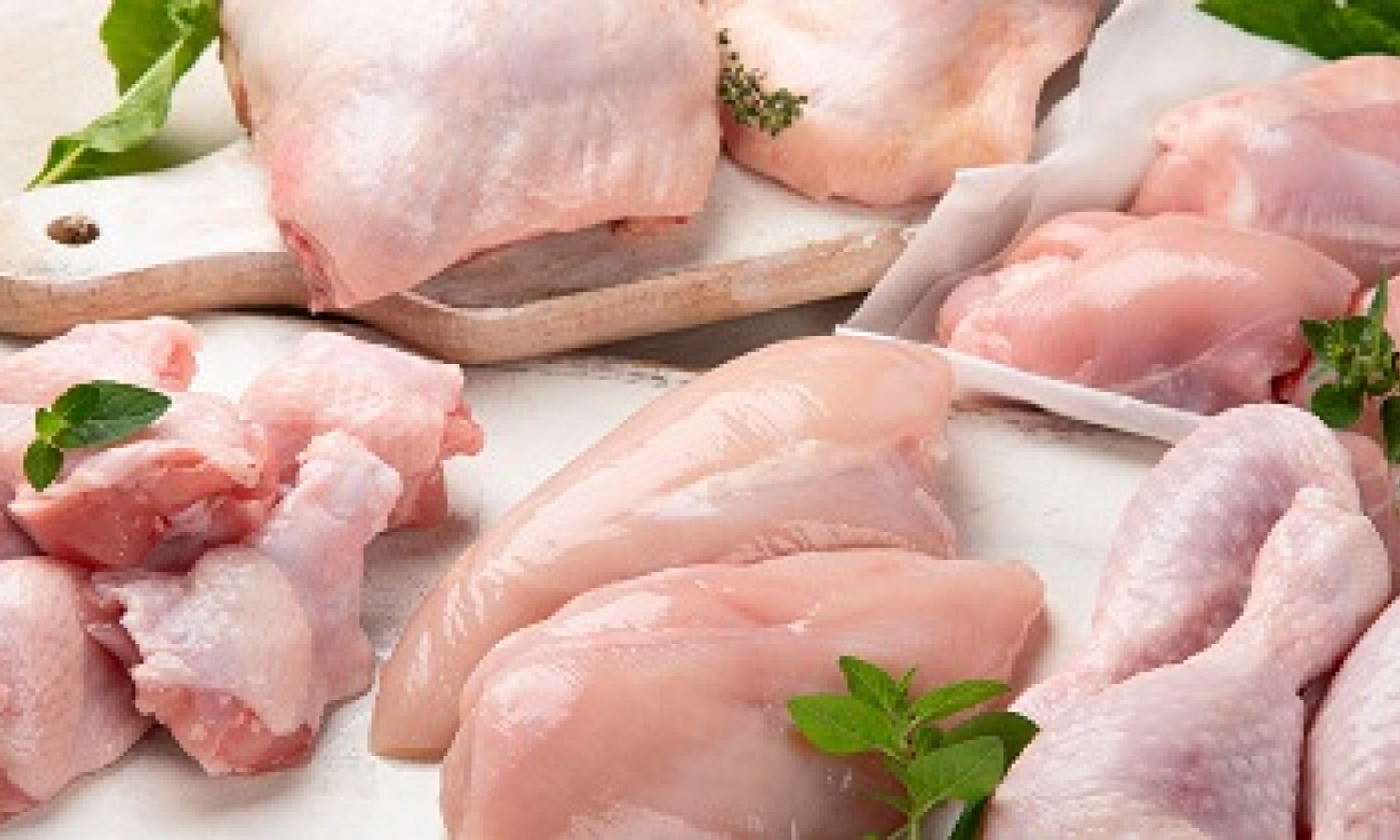 Nuovi marcatori per valutare la qualità della carne di pollo 