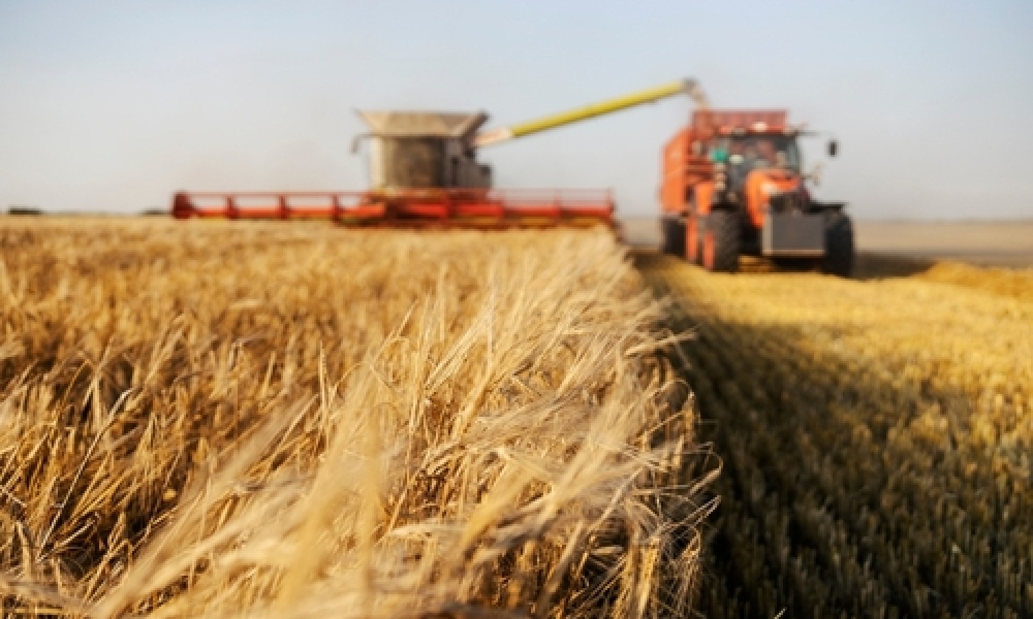 I numeri del sistema agroalimentare italiano