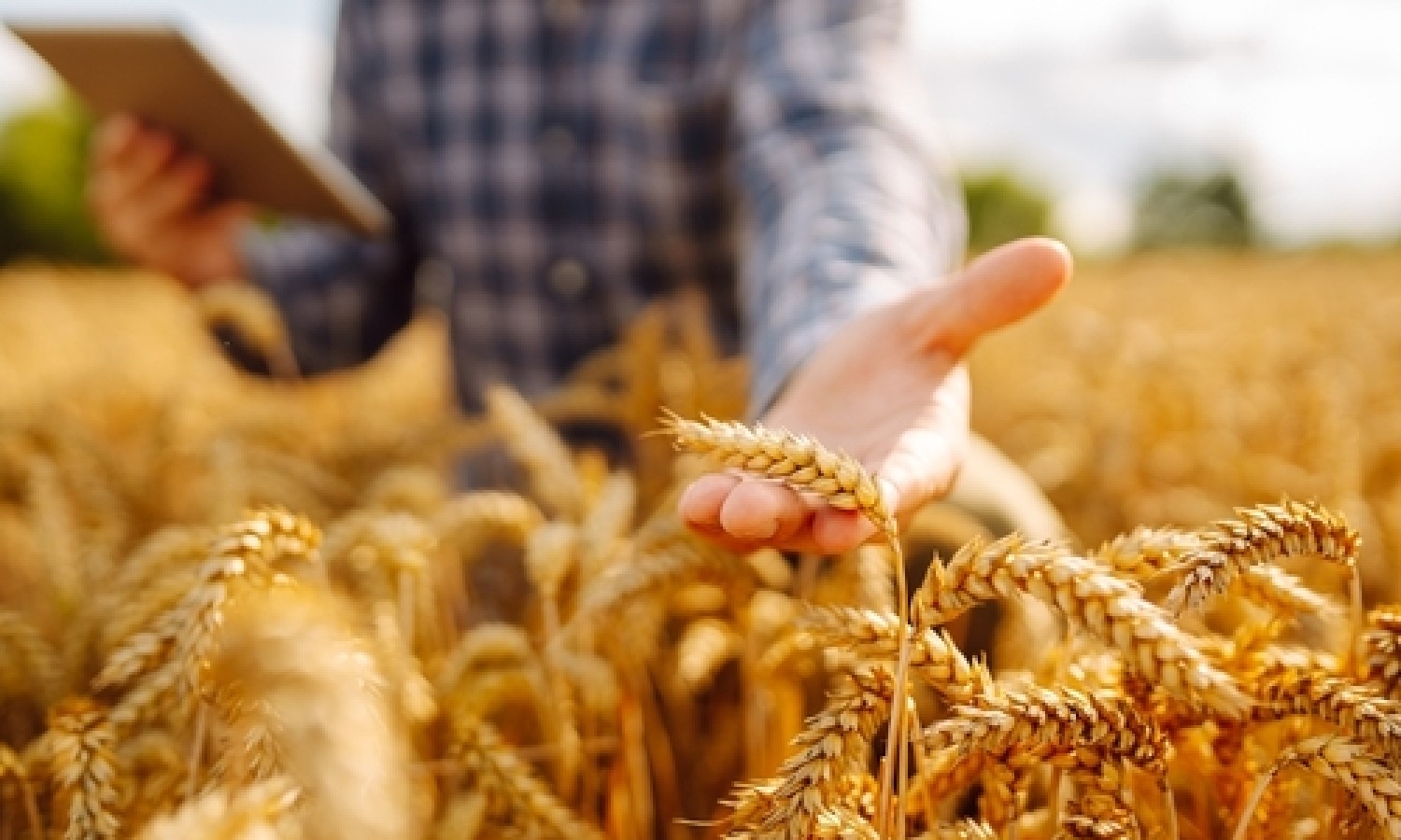 3 miliardi a sostegno del settore agroalimentare