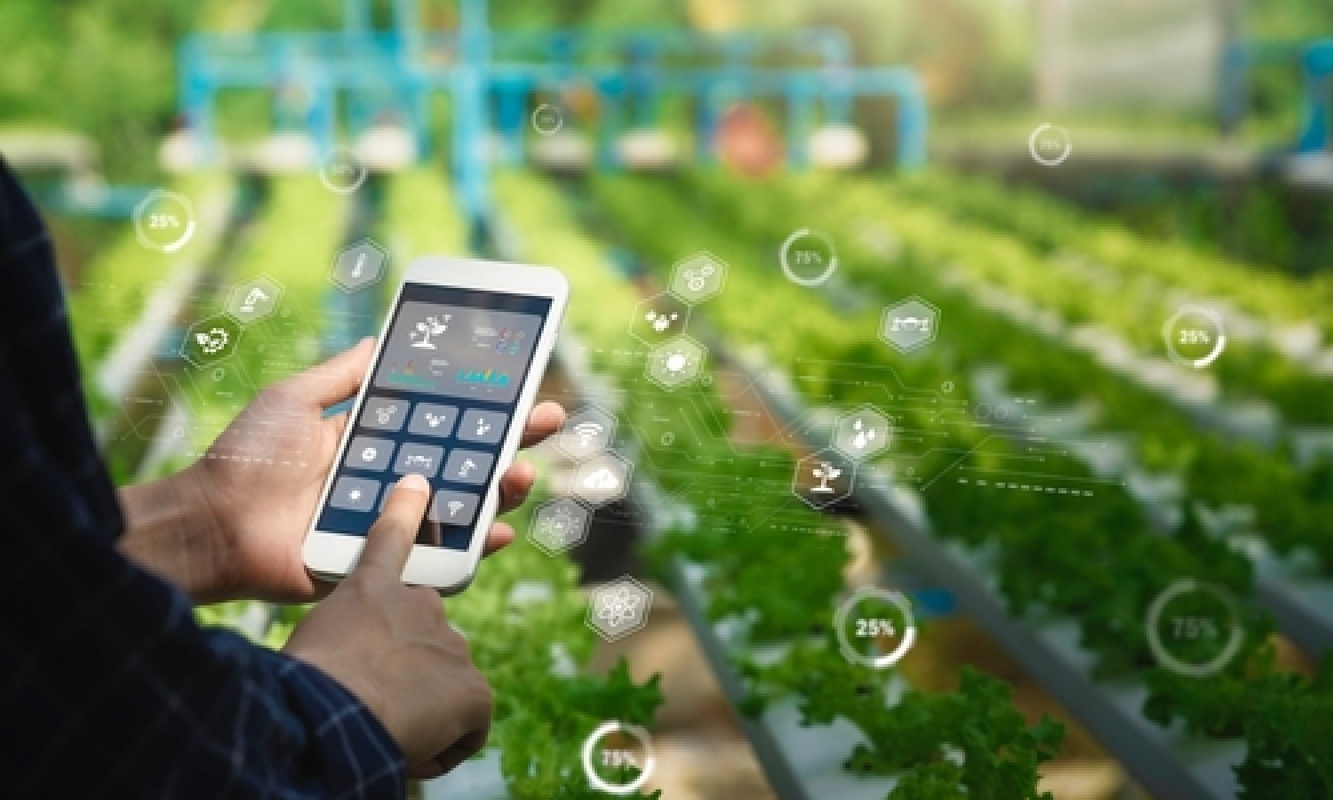 Nuovi fondi per l’innovazione in agricoltura e contro i danni da Psa