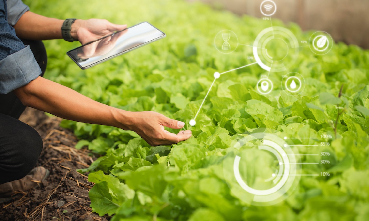 L’innovazione digitale a supporto della qualità alimentare e della sostenibilità