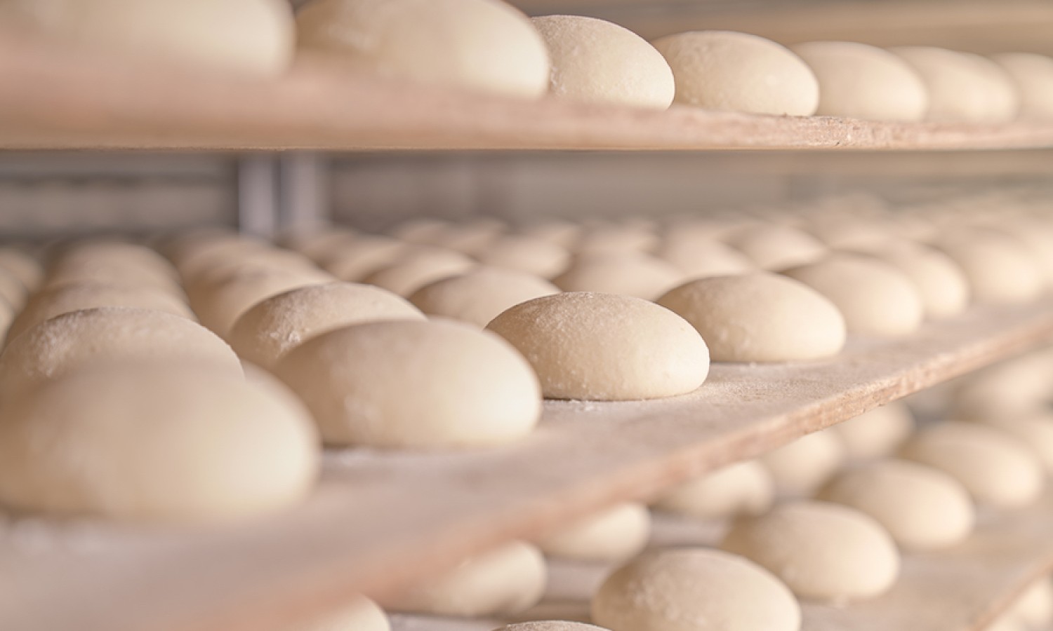 Come determinare la qualità degli impasti di pane durante la fermentazione